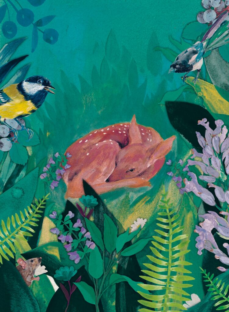 Bambi, una vida en el bosque, ilustrado por Sara Santos